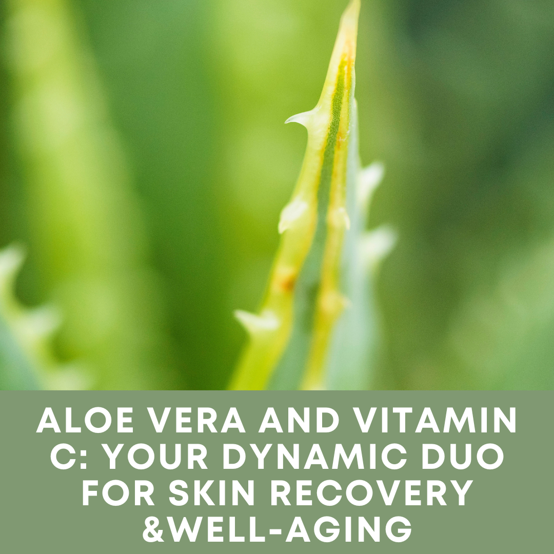 Aloe Vera and Vitamin C: Your Dynamic Duo for Skin Recovery and Well-Aging